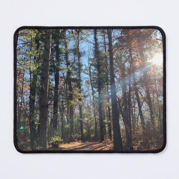 Item preview, November Hike Through the Forest  designed and sold by Bridget Swanson.