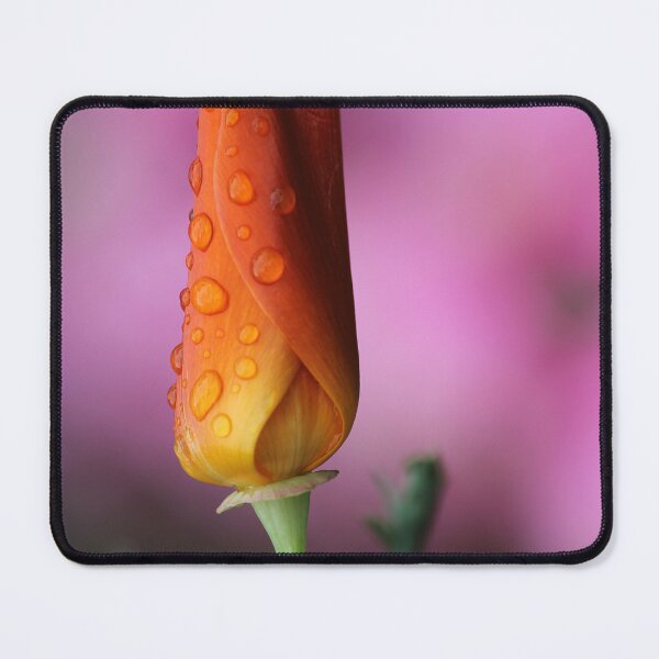 Item preview, Californian Poppy designed and sold by Kim Chi Thai.