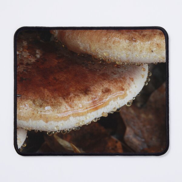 Item preview, Resinous Polypore Mushrooms:  Extreme Autumn Guttation designed and sold by WolfNoodles.