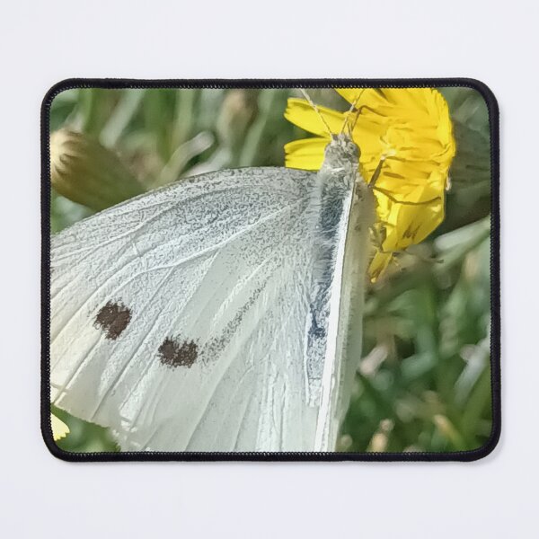 Item preview, Dandelion butterfly designed and sold by Beckysart1990.