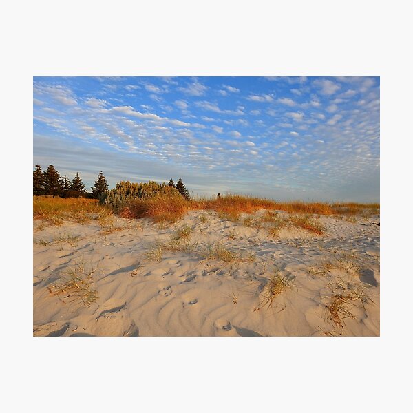 Artikelvorschau, Das goldene Strandgras, die Dünen und der Himmel entworfen und verkauft von AussieAl.