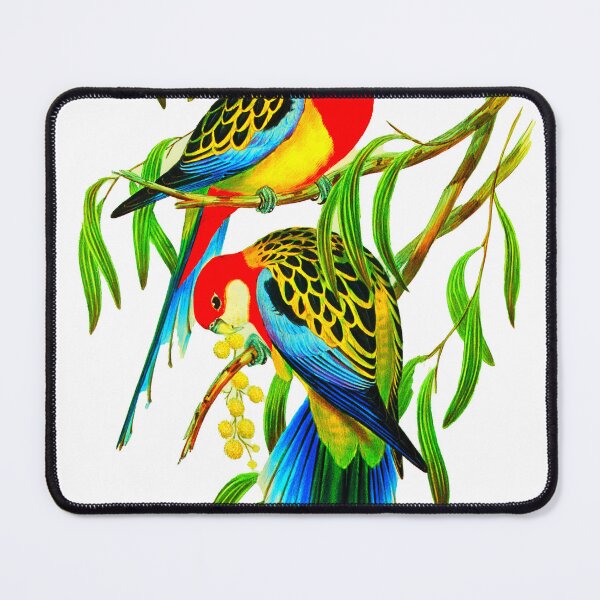 Item preview, Rose-hill Parakeet (Platycercus eximius)  Birds of Australia  designed and sold by bekarts.