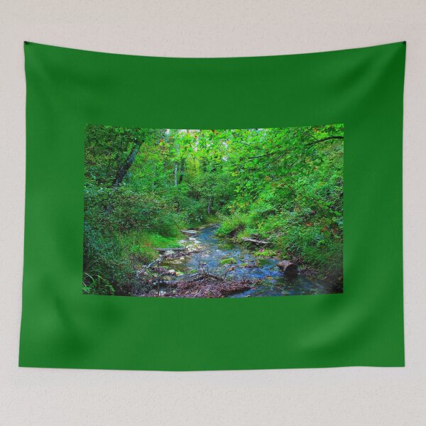 Item preview, Scenery in Sarnano near Pozze dell'Acquasanta with waters, rocks, musk, greenery, trees, crowns designed and sold by Kristina Drozd.