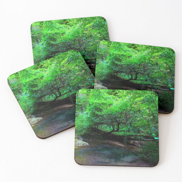 Item preview, Scenery in Sarnano near Pozze dell'Acquasanta with water, trunks, foliage, sunlight designed and sold by Kristina Drozd.
