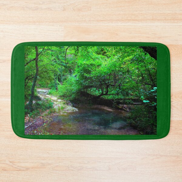 Item preview, Scenery in Sarnano near Pozze dell'Acquasanta with water, trunks, foliage, sunlight designed and sold by Kristina Drozd.