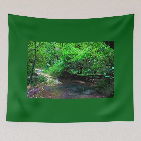 Item preview, Scenery in Sarnano near Pozze dell'Acquasanta with water, trunks, foliage, sunlight designed and sold by Kristina Drozd.