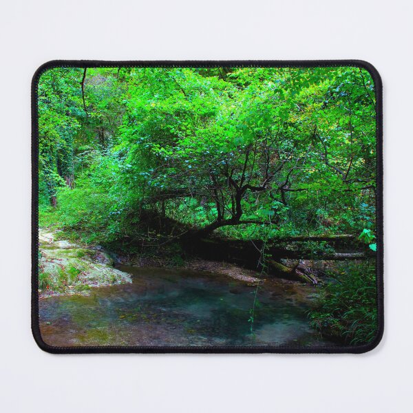 Item preview, Scenery in Sarnano near Pozze dell'Acquasanta with water, trunks, foliage, sunlight designed and sold by Kristina Drozd.