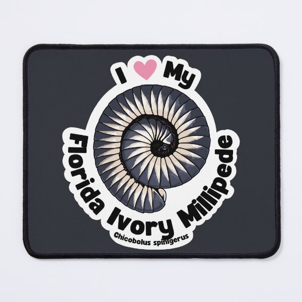 Item preview, I ❤️ My Millipede: Florida Ivory Millipede designed and sold by VexisssOfficial.
