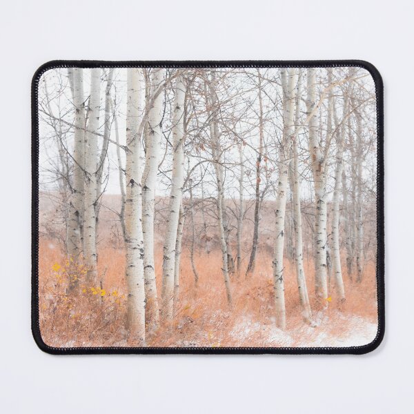 Item preview, Aspen Trees in Falling Snow in Alberta, Canada designed and sold by Amy Mitchell.