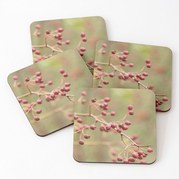 Item preview, Rose Hip designed and sold by Kim Chi Thai.