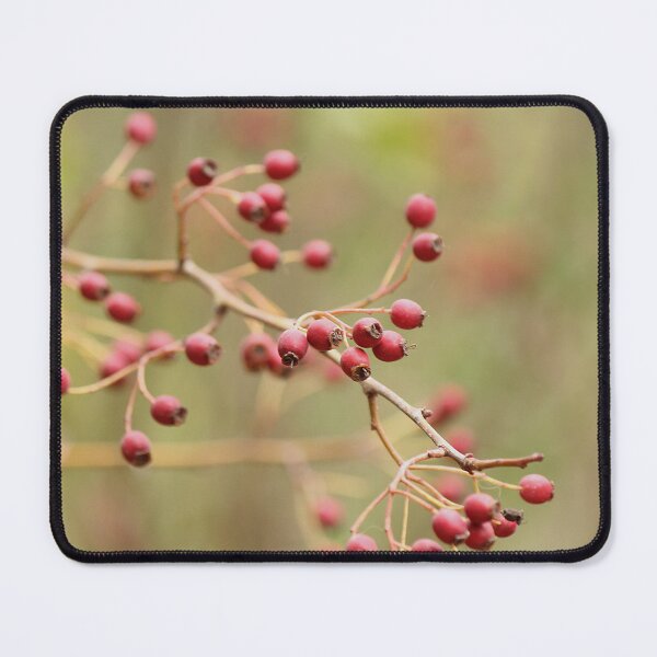 Item preview, Rose Hip designed and sold by Kim Chi Thai.