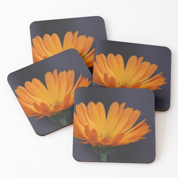 Item preview, Calendula designed and sold by Kim Chi Thai.