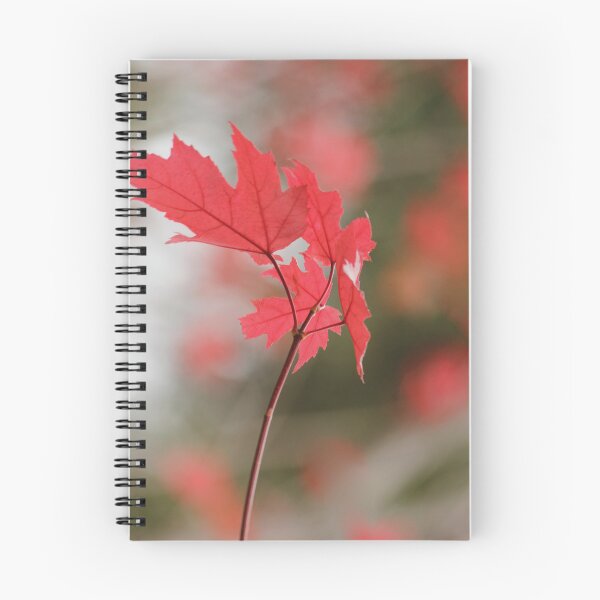 Item preview, Red Oak Leaf designed and sold by Kim Chi Thai.