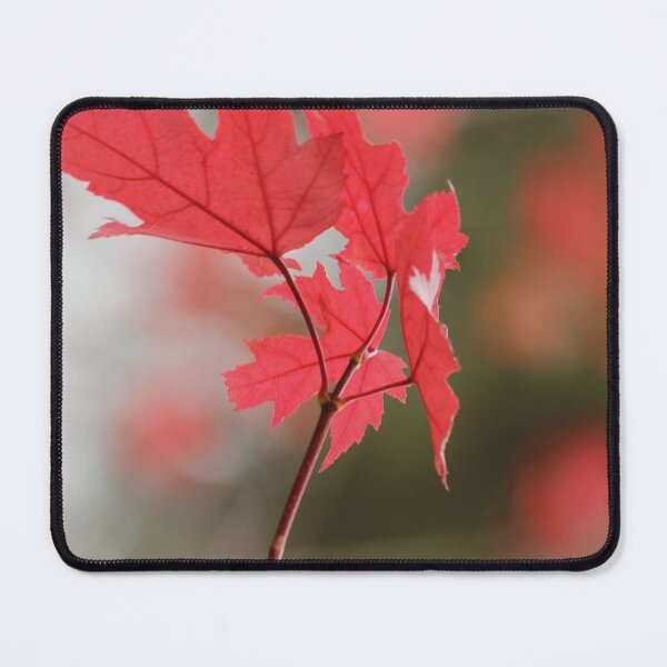 Item preview, Red Oak Leaf designed and sold by Kim Chi Thai.