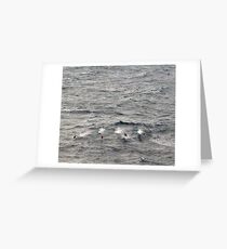 Water Sport Greeting Card