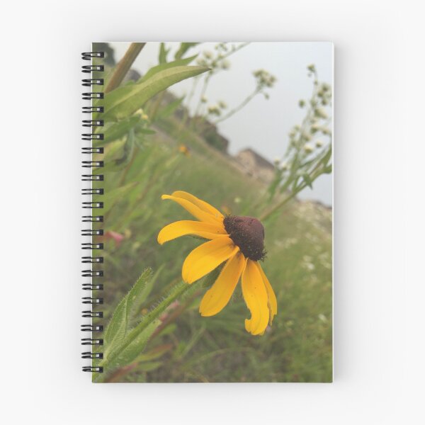 Item preview, Beautiful Floral Black Eyed Susan Photograph Notebook and More designed and sold by Haleyd1612.