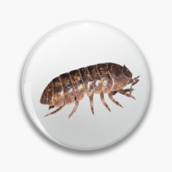 Item preview, Roly Poly Isopod designed and sold by Melon Designs All.