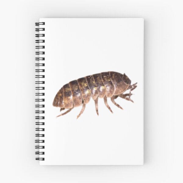 Item preview, Roly Poly Isopod designed and sold by Melon Designs All.