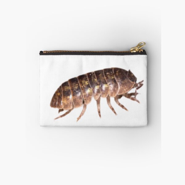 Item preview, Roly Poly Isopod designed and sold by Melon Designs All.