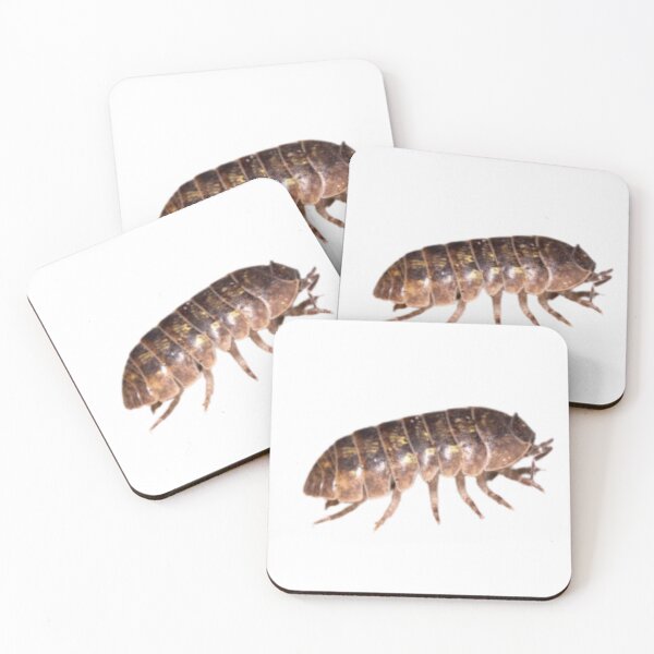 Item preview, Roly Poly Isopod designed and sold by Melon Designs All.