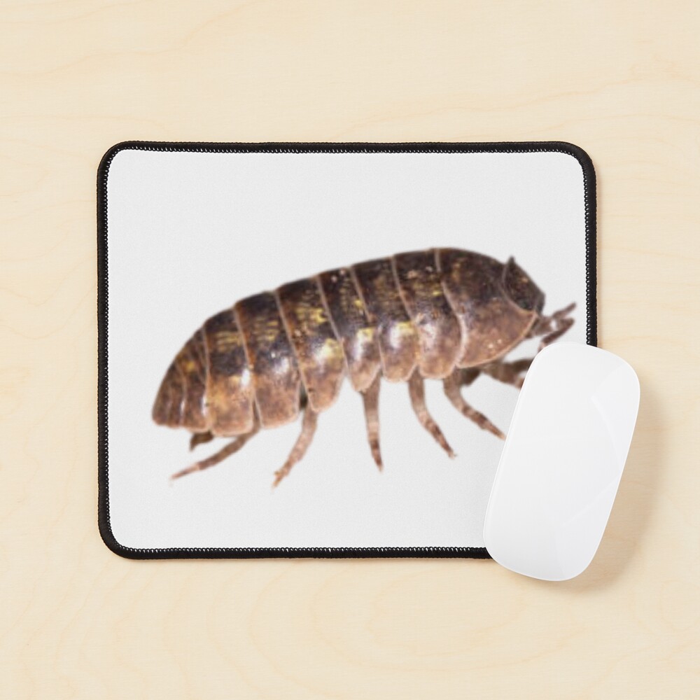 Aperçu de l'œuvre Tapis de souris créée et vendue par MelonDesignsAll.
