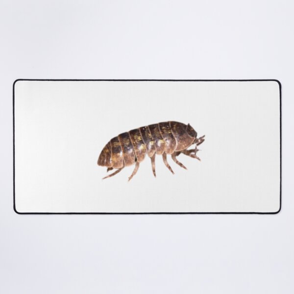 Item preview, Roly Poly Isopod designed and sold by Melon Designs All.