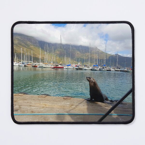 Item preview, Seal in Hout Bay designed and sold by Blissfully-MK.
