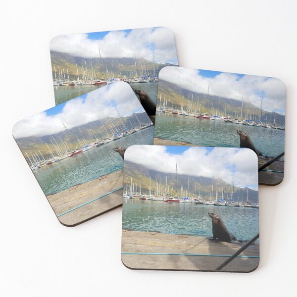 Item preview, Seal in Hout Bay designed and sold by Blissfully-MK.