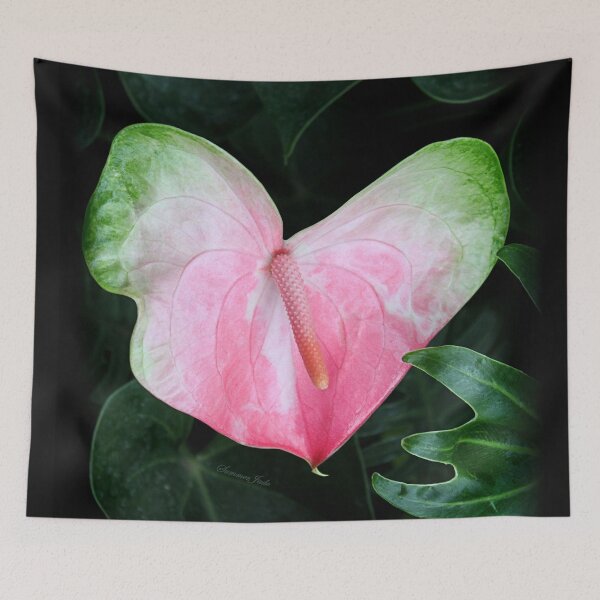Item preview, The Anthurium Flower ~ A History designed and sold by SummerJade.