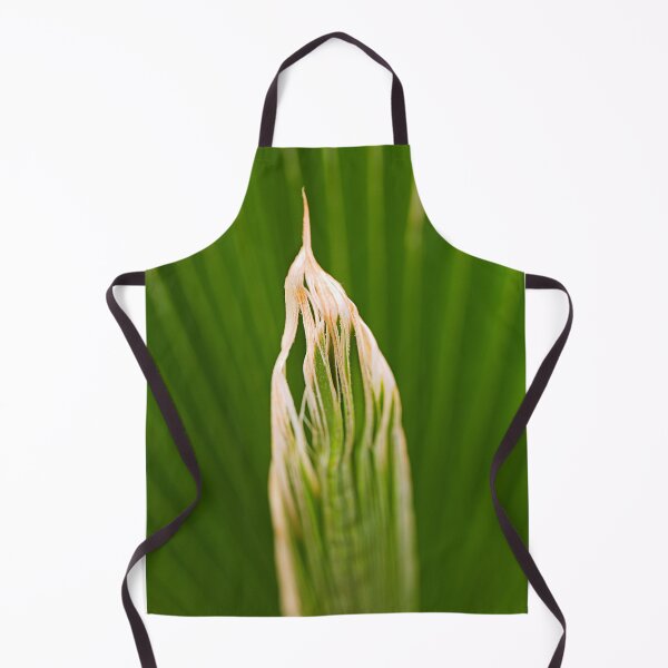 Item preview, Fan Palm Layers Leaves designed and sold by Joy Watson - Natural Light Photography .