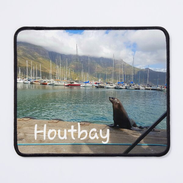 Item preview, Seal in Hout Bay designed and sold by Blissfully-MK.