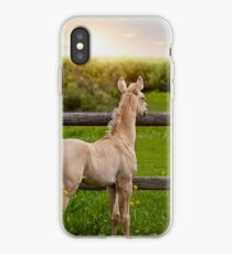 Palomino Foal 1 iPhone Case