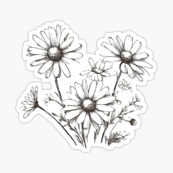 Item preview, Blooming Daisies, Pencil Sketch Digital Art - Daisy / Cosmo Flowers designed and sold by Star-Fragment.