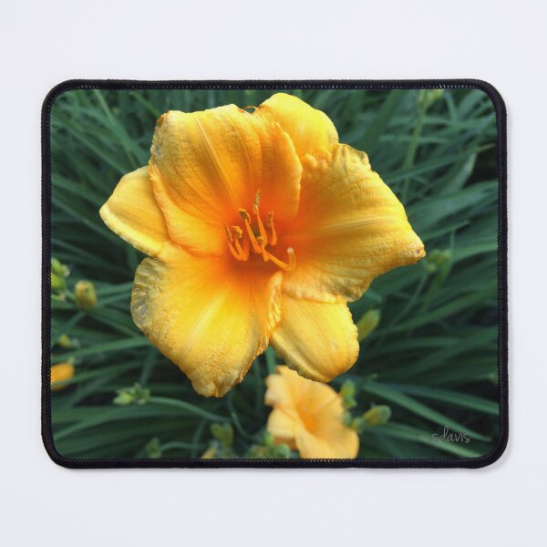 Item preview, Flower Lily 61621 designed and sold by mandalafractal.