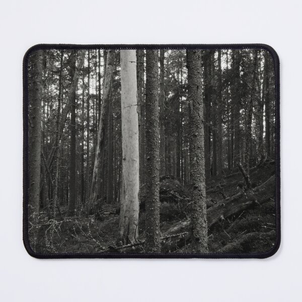 Item preview, The Forest of the Shadow side bw designed and sold by Jouko Lehto Photography.