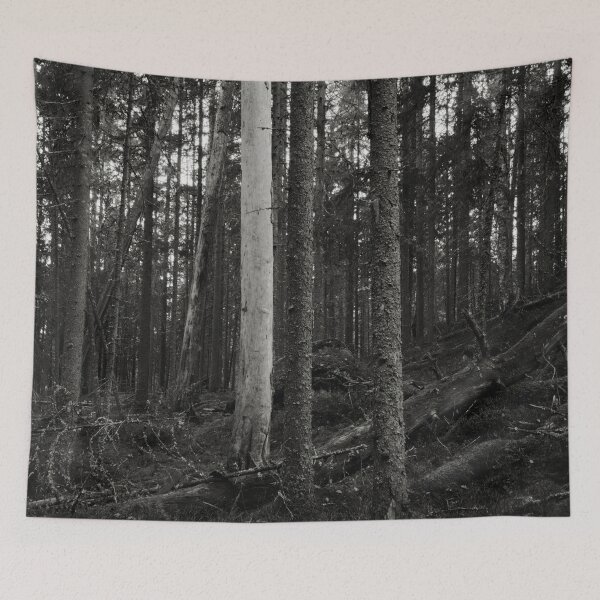 Item preview, The Forest of the Shadow side bw designed and sold by Jouko Lehto Photography.