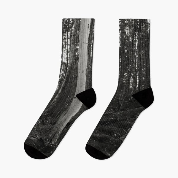 Item preview, The Forest of the Shadow side bw designed and sold by Jouko Lehto Photography.
