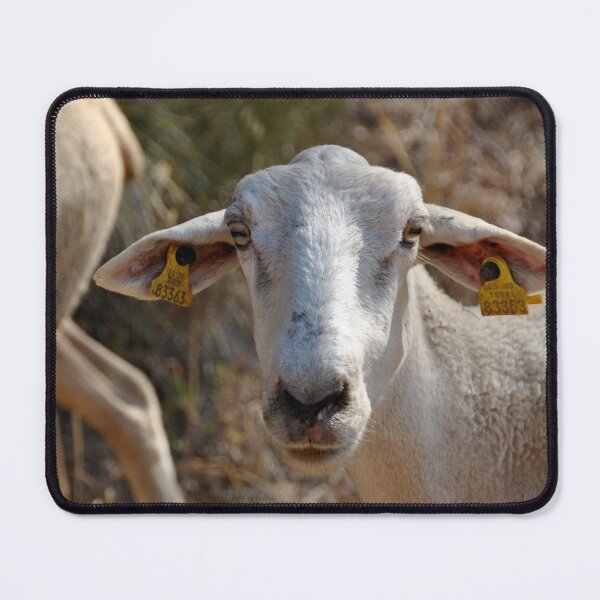 Artikelvorschau, Goat farm - Funny goat - white goat entworfen und verkauft von animal-animal.