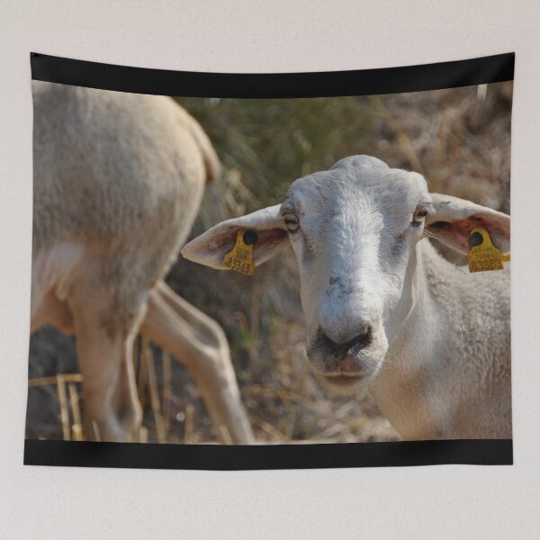 Aperçu de l'œuvre Goat farm - Funny goat - white goat créée et vendue par animal-animal.