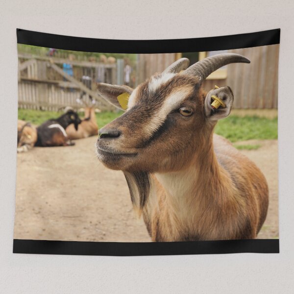 Item preview, Goat farm - Funny goat designed and sold by animal-animal.
