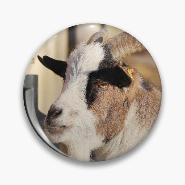 Artikelvorschau, Goat farm - Funny goat - white goat entworfen und verkauft von animal-animal.