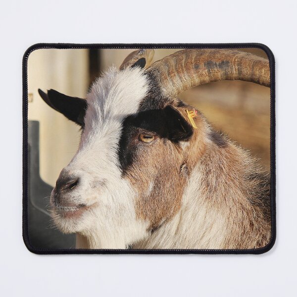 Item preview, Goat farm - Funny goat - white goat designed and sold by animal-animal.