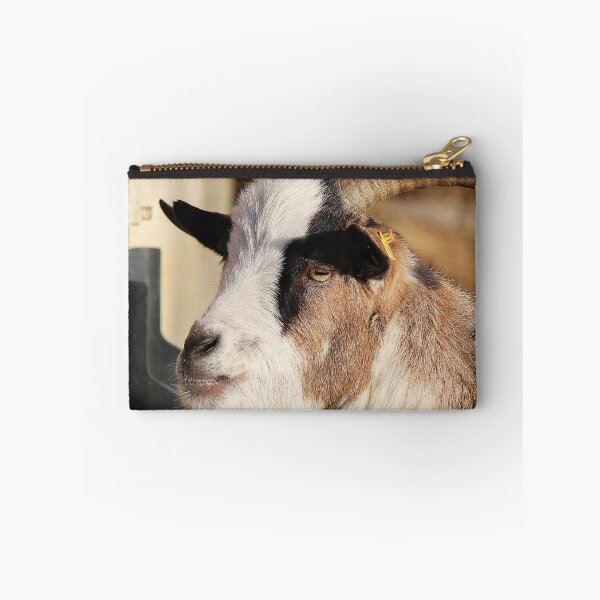 Aperçu de l'œuvre Goat farm - Funny goat - white goat créée et vendue par animal-animal.