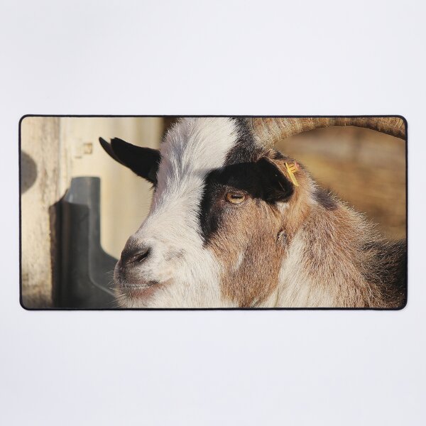 Item preview, Goat farm - Funny goat - white goat designed and sold by animal-animal.