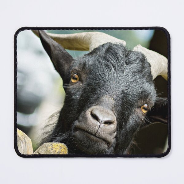 Artikelvorschau, Goat farm - Funny goat - black goat entworfen und verkauft von animal-animal.