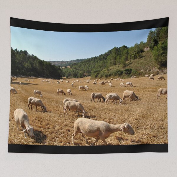 Aperçu de l'œuvre Goat farm - Funny goat - white goat créée et vendue par animal-animal.