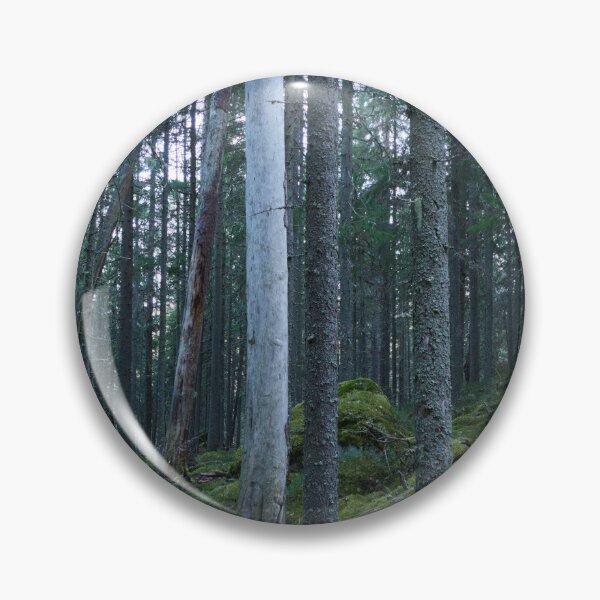 Item preview, The Forest of the Shadow side designed and sold by Jouko Lehto Photography.