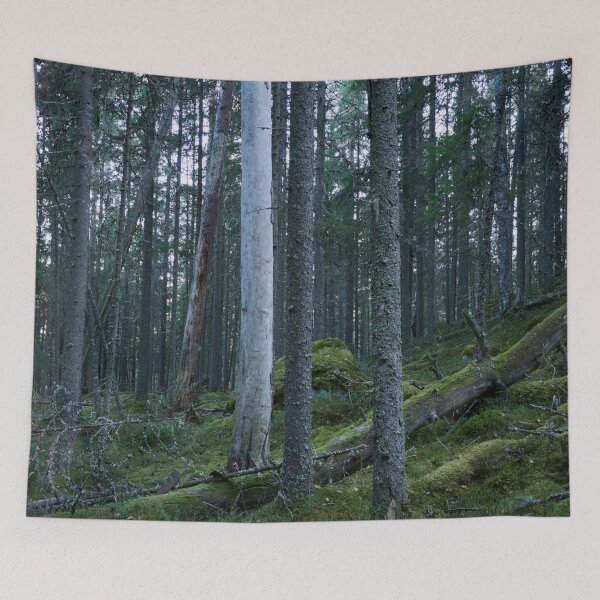 Item preview, The Forest of the Shadow side designed and sold by Jouko Lehto Photography.