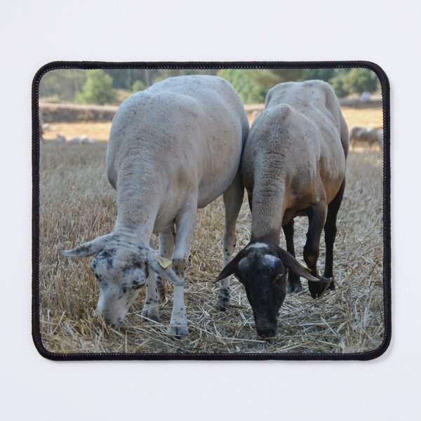 Artikelvorschau, Goat farm - Funny goat - white goat entworfen und verkauft von animal-animal.