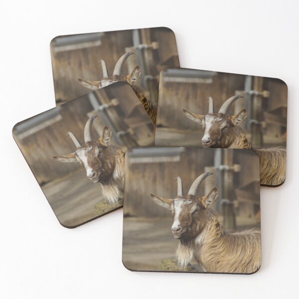 Item preview, Goat farm - Funny goat designed and sold by animal-animal.